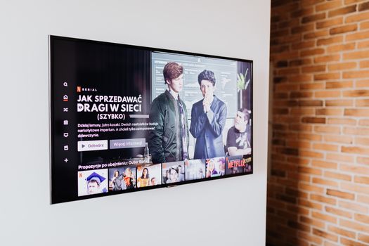 Netflix-kijkgids met populaire series op een tv-scherm en snacks op tafel in een woonkamer in Leiden
