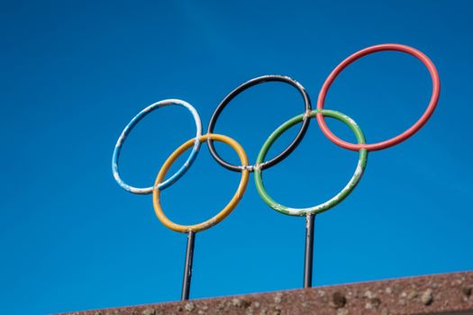 Olympische Spelen 2026 op tv in een Leidse woonkamer met wintersportbeelden uit Milaan en Cortina